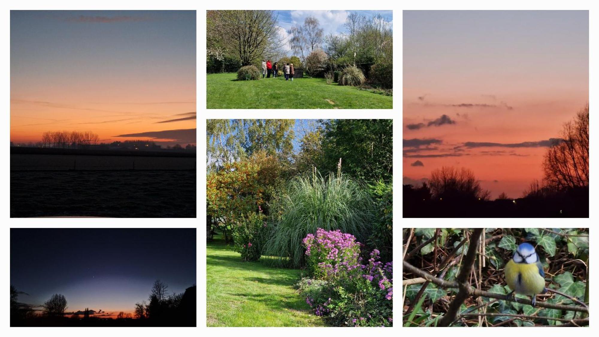 La Bergerie Chambre D'Hotes Leuze-en-Hainaut ภายนอก รูปภาพ