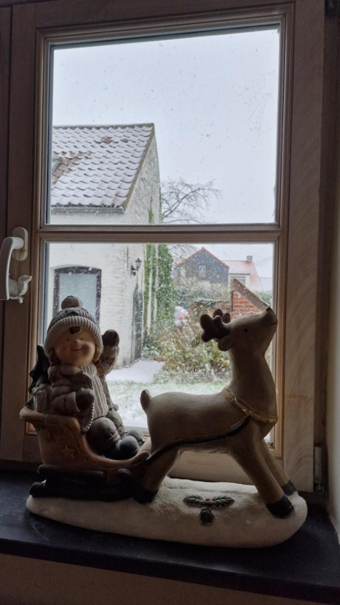 La Bergerie Chambre D'Hotes Leuze-en-Hainaut ภายนอก รูปภาพ
